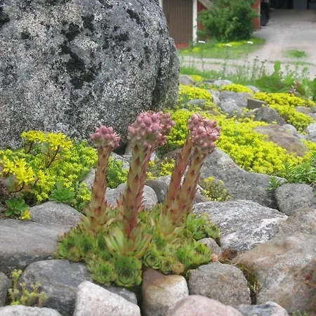 Bed & Breakfast Tuukkalan Tila