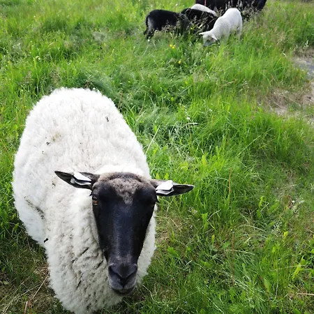 Tuukkalan Tila Nocleg ze śniadaniem 2*