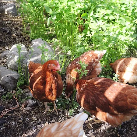 Tuukkalan Tila 2* Ristiina